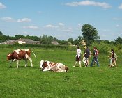 Activiteitenboerderij in Brabant